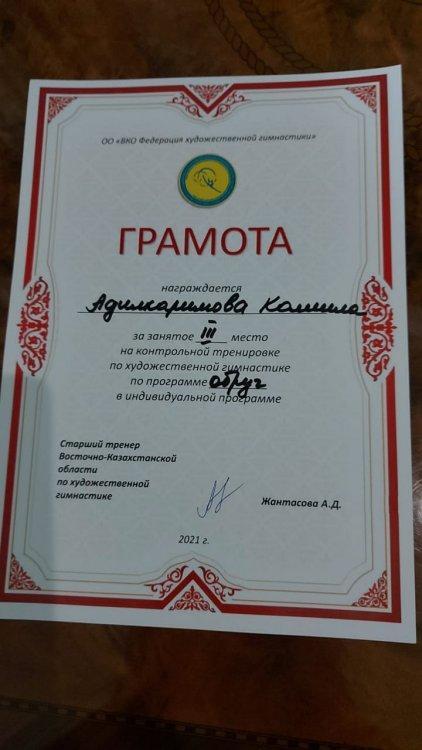 Художественная гимнастика