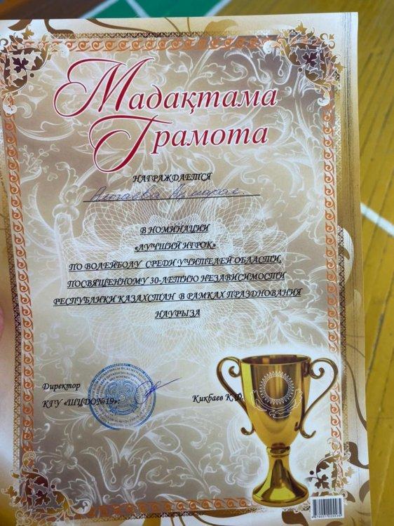 Областные соревнования по волейболу