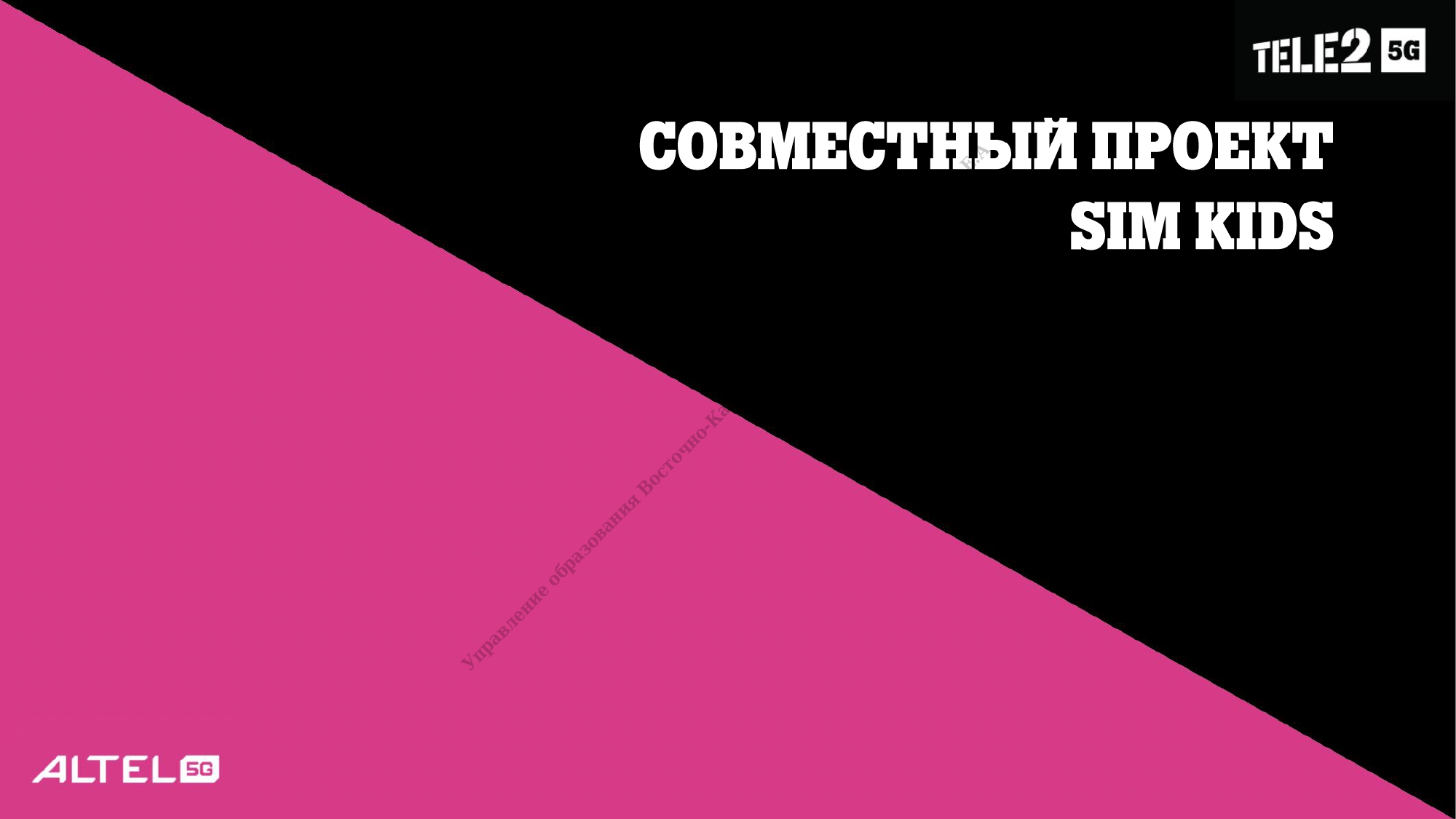 ПРОЕКТ "SIM KIDS"